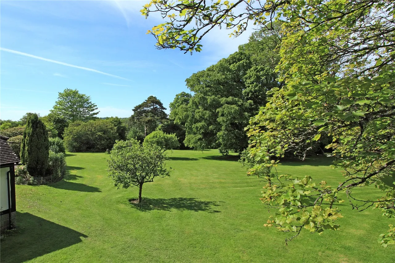 Newtons Hill, Hartfield, East Sussex, TN7 4DH, photo 28