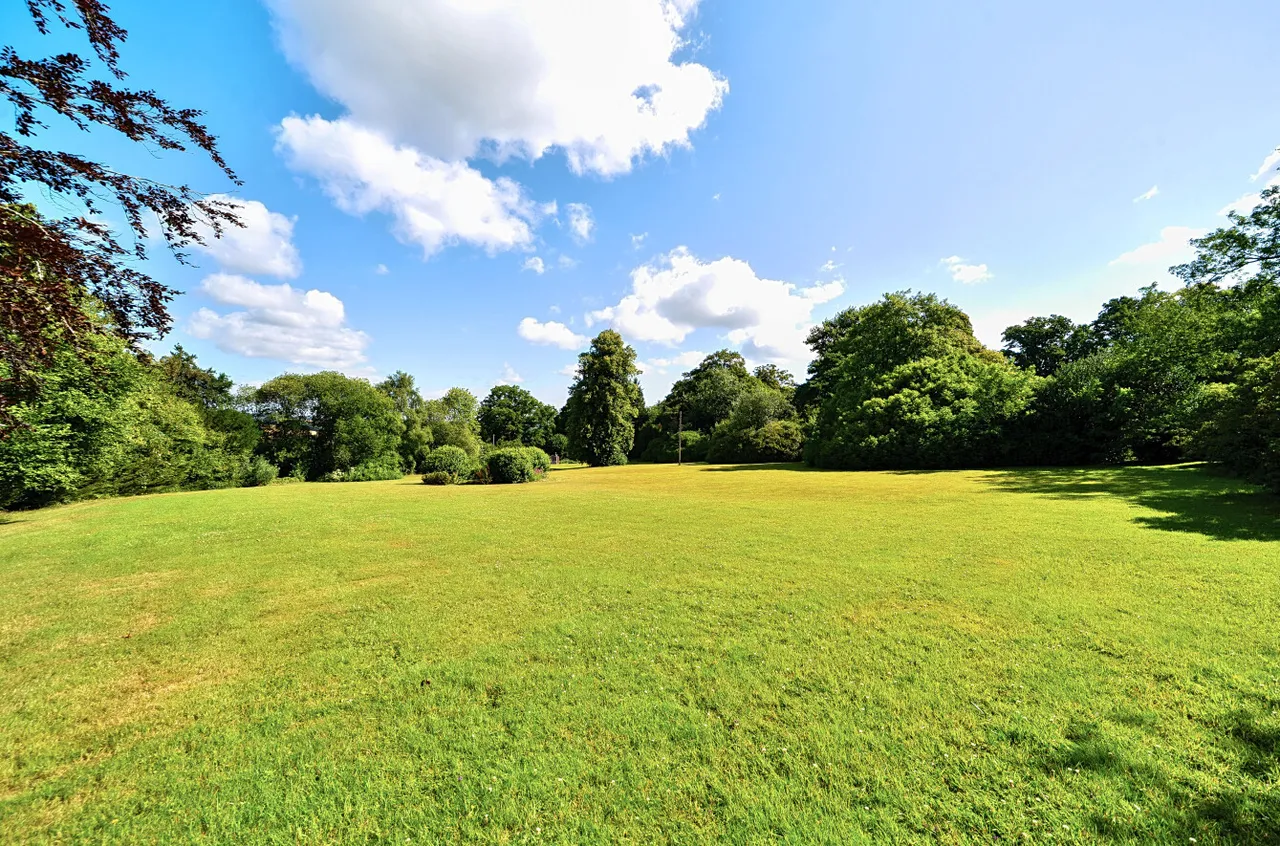 Newtons Hill, Hartfield, East Sussex, TN7 4DH, photo 17