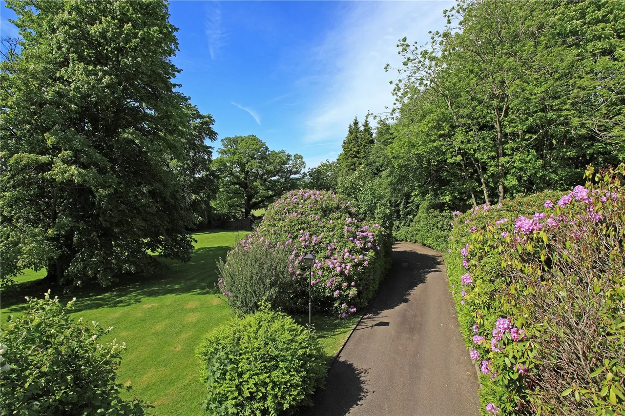Newtons Hill, Hartfield, East Sussex, TN7 4DH, photo 29
