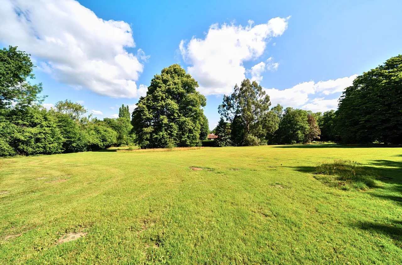 Newtons Hill, Hartfield, East Sussex, TN7 4DH, photo 4