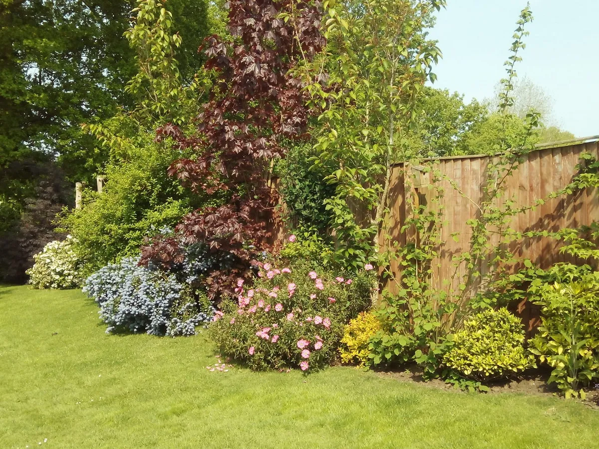 Rectory Road, Shelfanger, IP22, photo 22