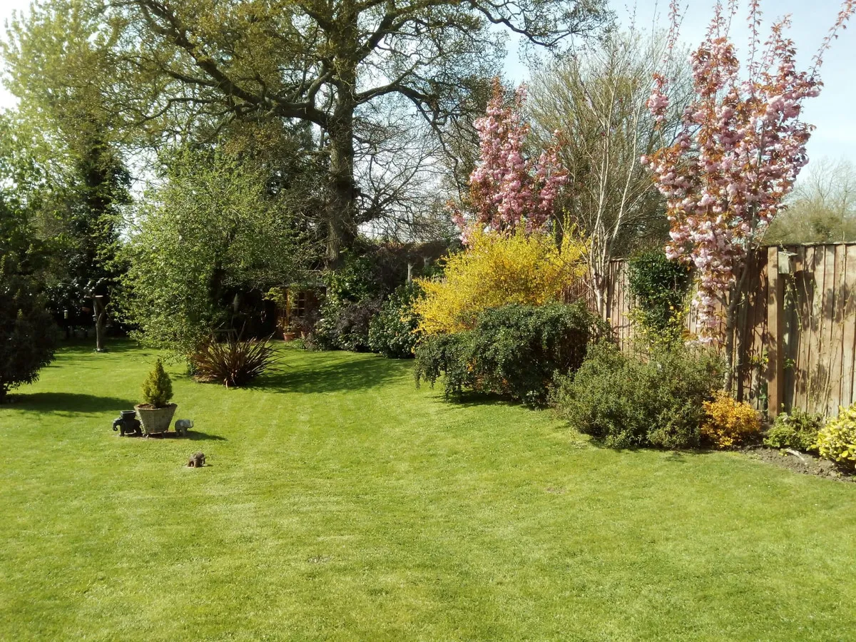 Rectory Road, Shelfanger, IP22, photo 28