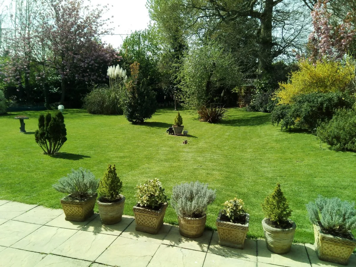 Rectory Road, Shelfanger, IP22, photo 27