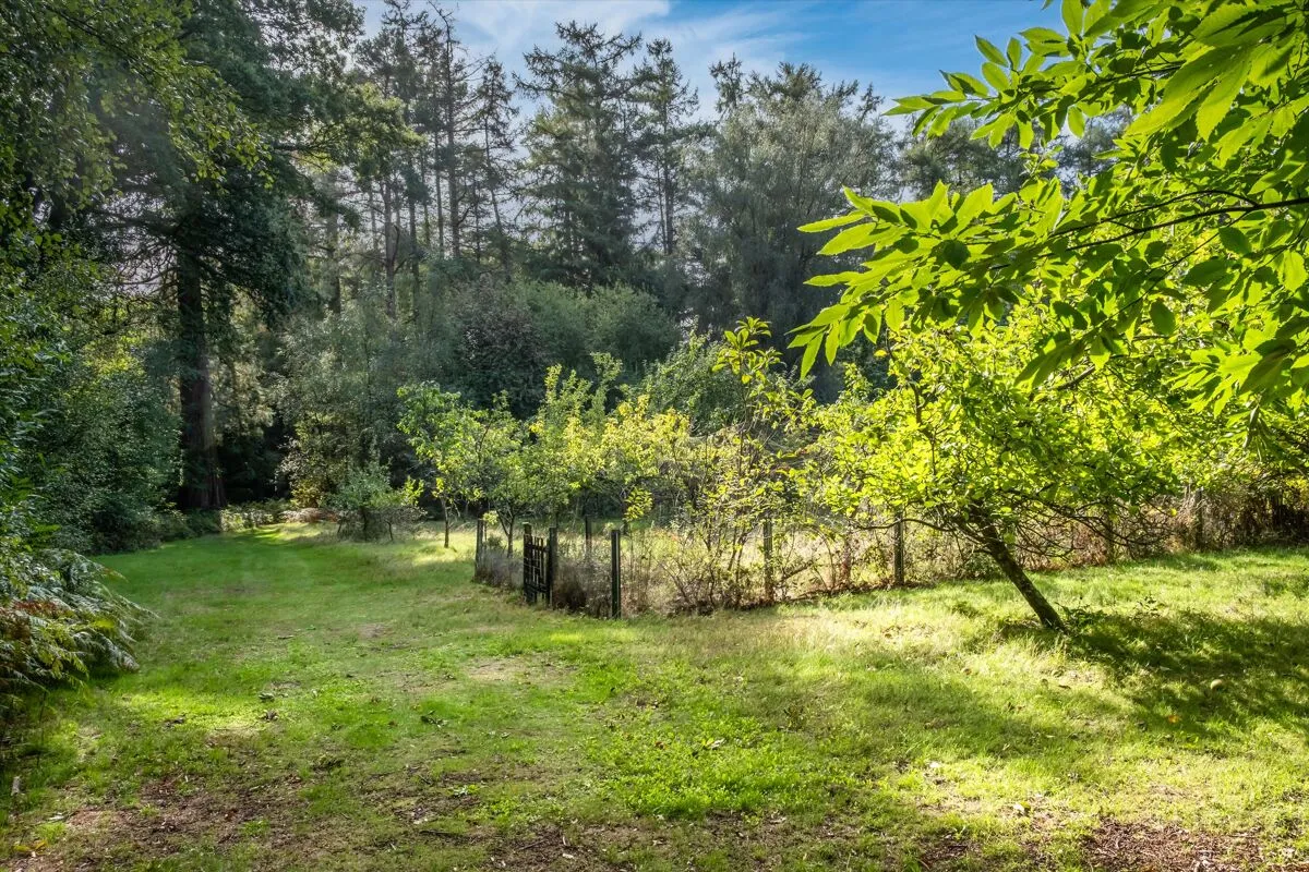 Tennysons Ridge, Haslemere, GU27, photo 25