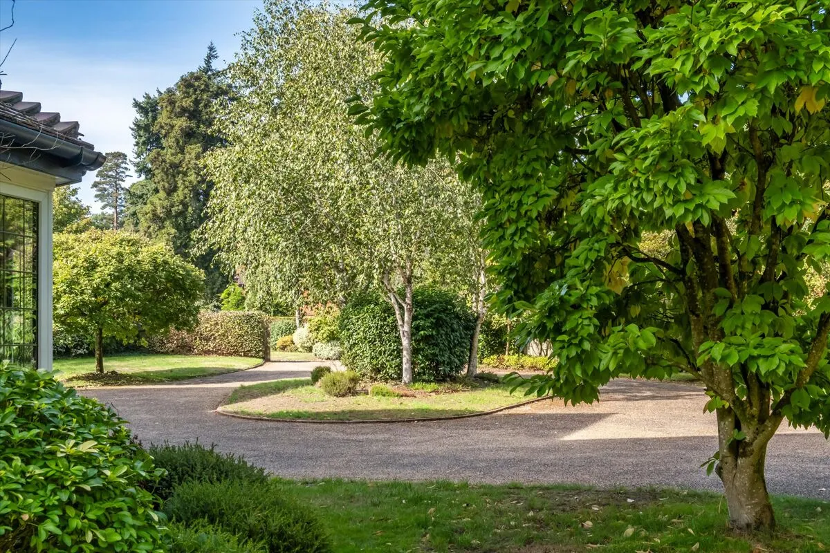 Tennysons Ridge, Haslemere, GU27, photo 5