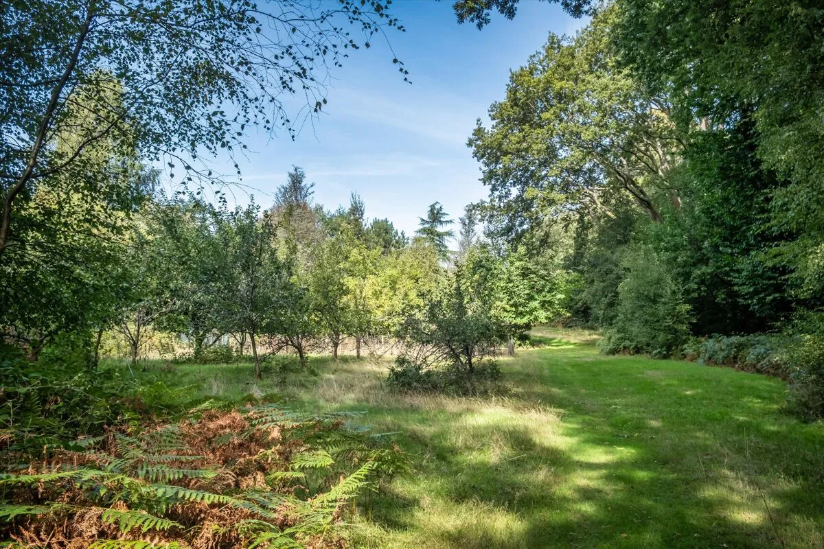 Tennysons Ridge, Haslemere, GU27, photo 26