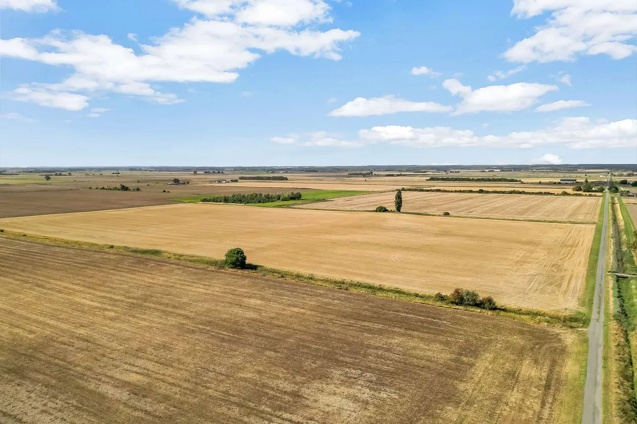 Morton Fen, Morton, PE10, photo 10