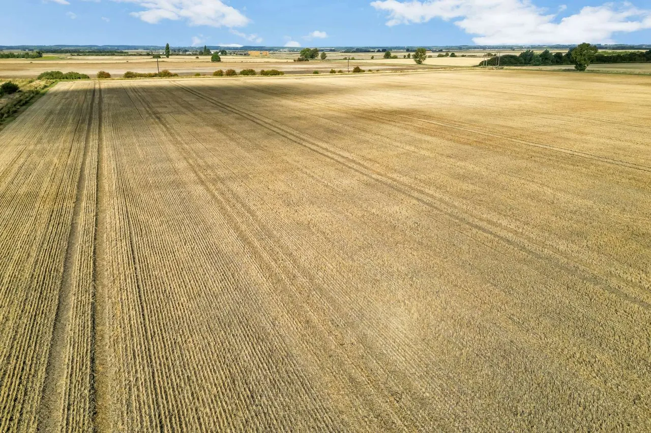 Morton Fen, Morton, PE10, photo 5
