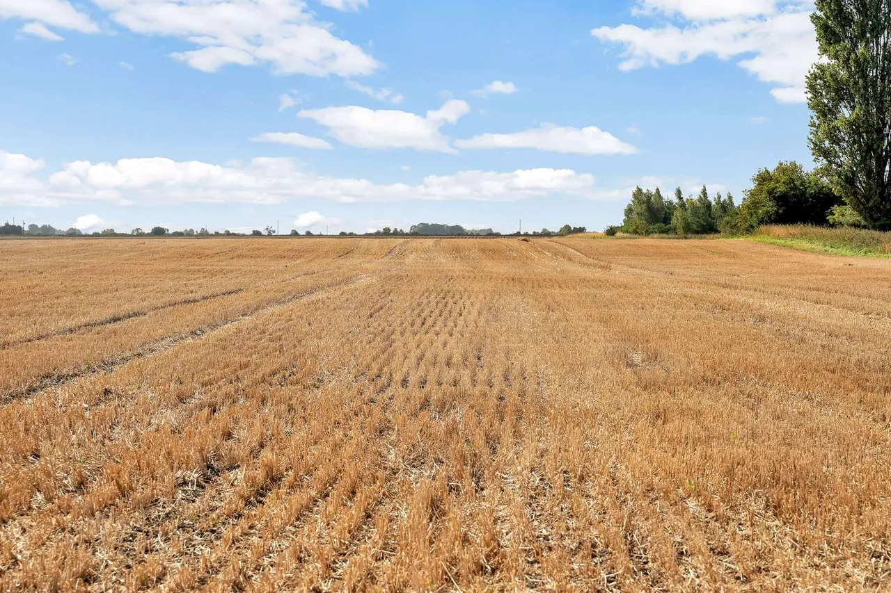 Morton Fen, Morton, PE10, photo 12