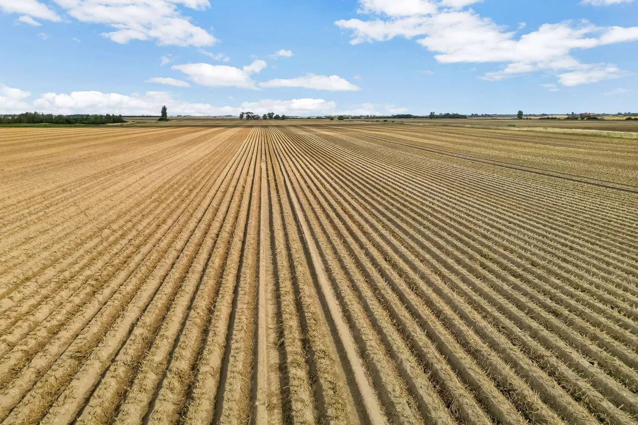 Morton Fen, Morton, PE10, photo 6