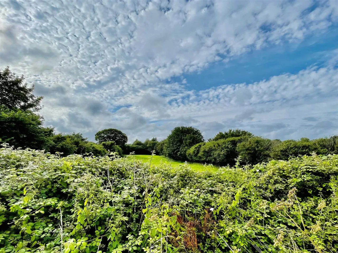 Churston Road, Churston Ferrers, photo 16