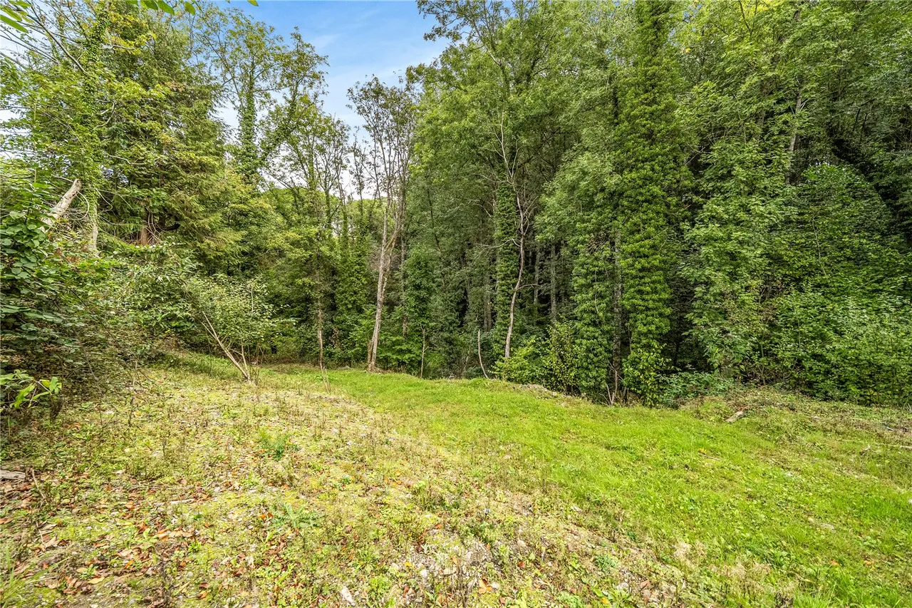Norton, Presteigne, LD8, photo 18