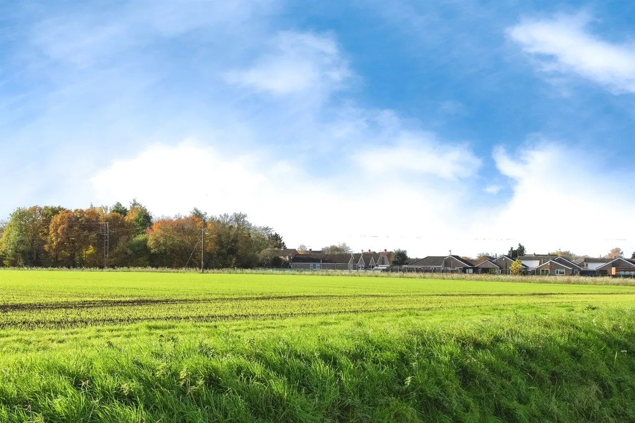 Walnut Close, Foulden, THETFORD, photo 2