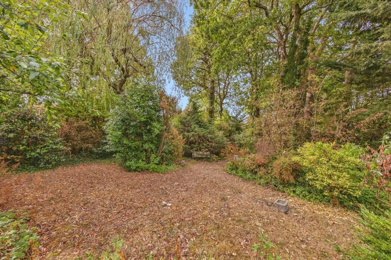 Dorrita Avenue, Waterlooville, PO8, photo 19
