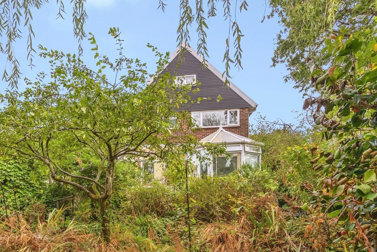 Dorrita Avenue, Waterlooville, PO8, photo 22