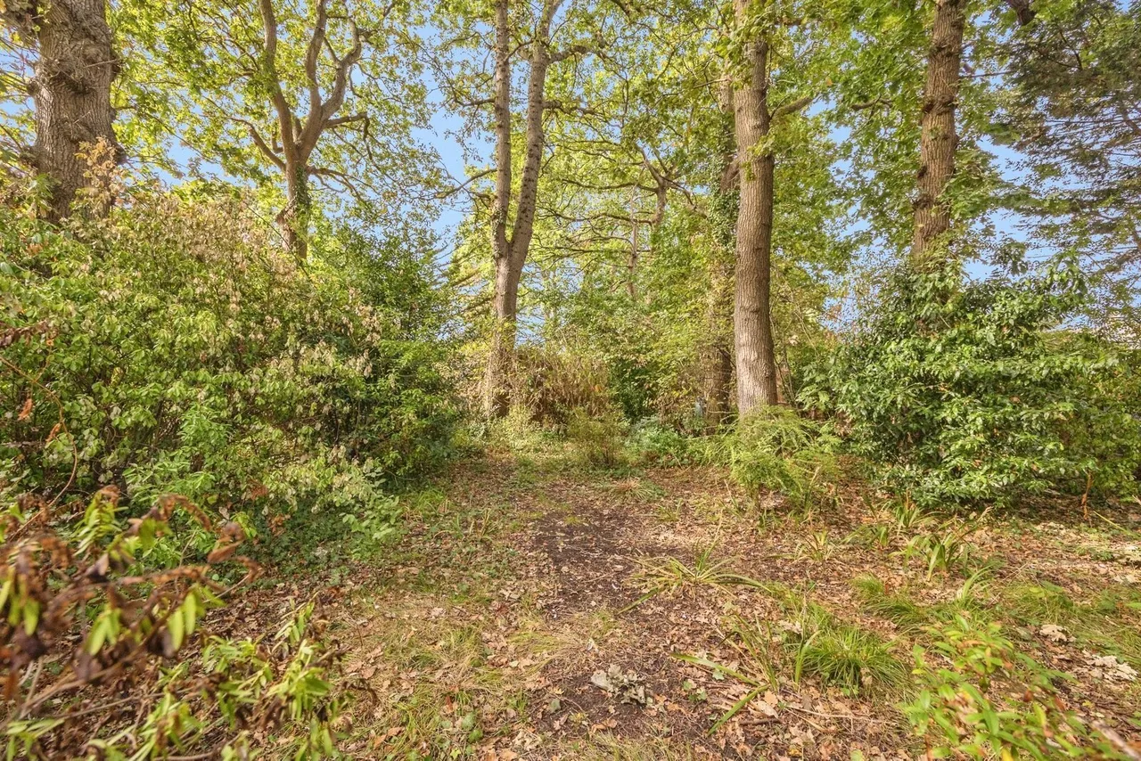 Dorrita Avenue, Waterlooville, PO8, photo 20