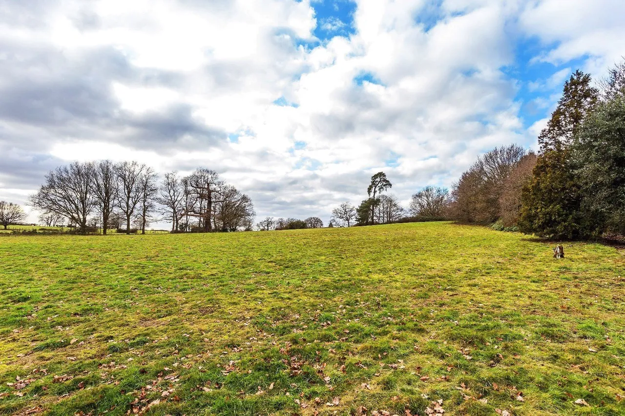 Ockham Lane, Cobham, KT11, photo 53