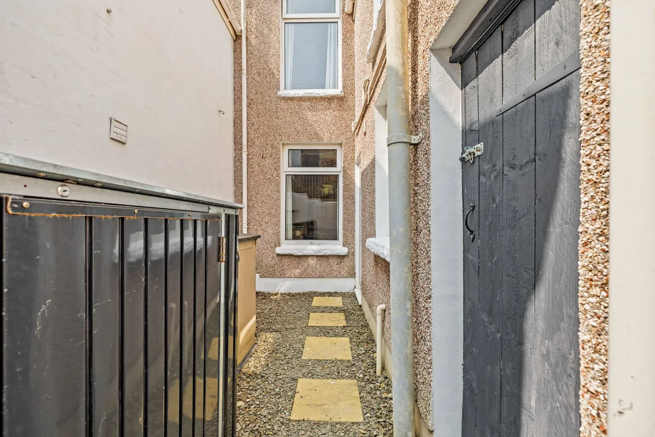 Chesshyre Street, Brynmill, SA2, photo 19