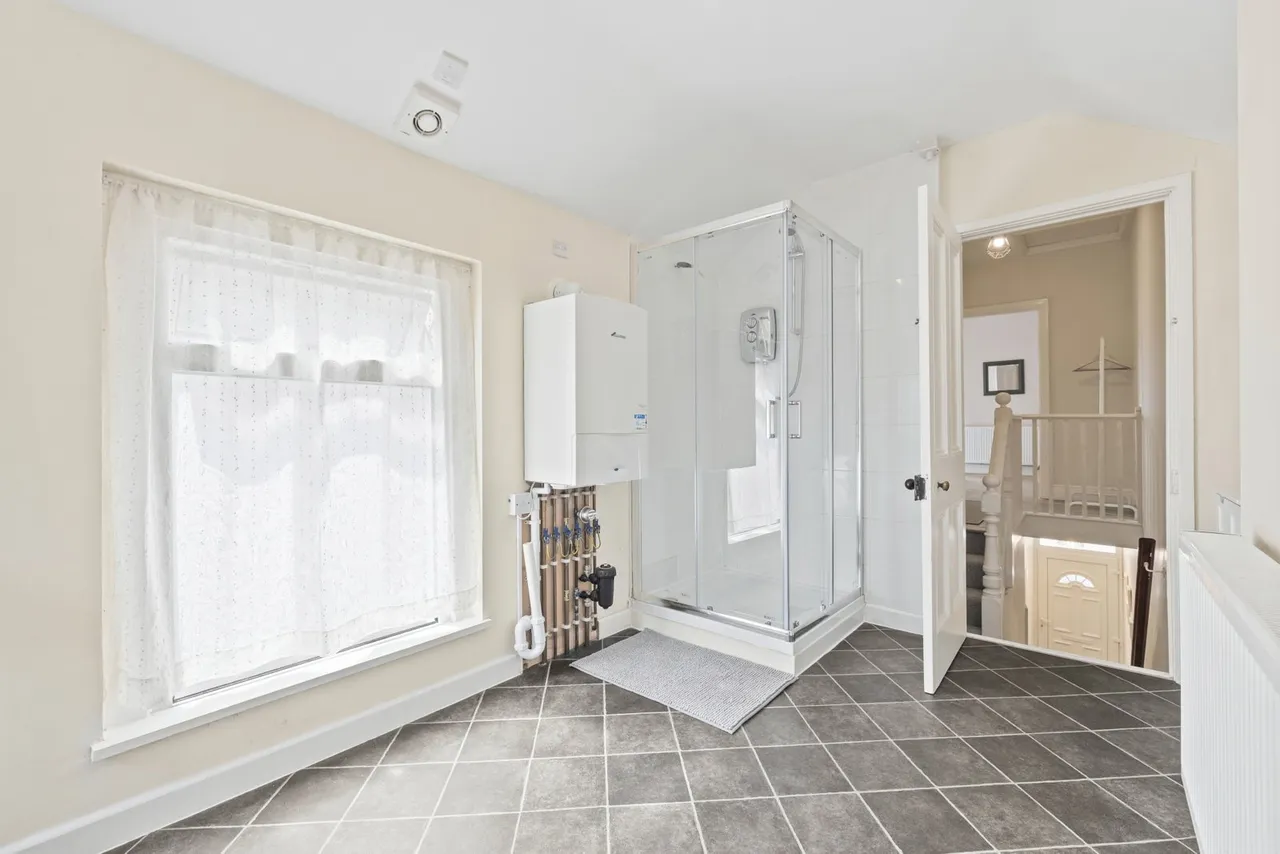 Chesshyre Street, Brynmill, SA2, photo 14