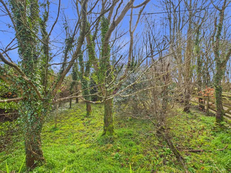 Crelly Trenear, Helston, photo 12