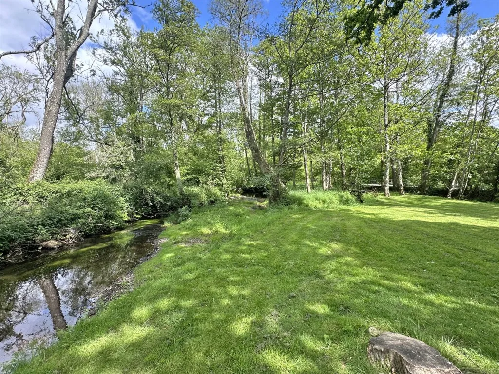 Brockenhurst, Hampshire, photo 30