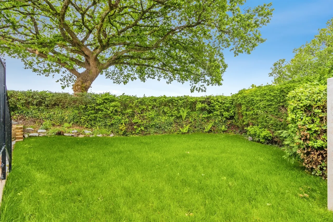 New Park, Bovey Tracey, TQ13, photo 22