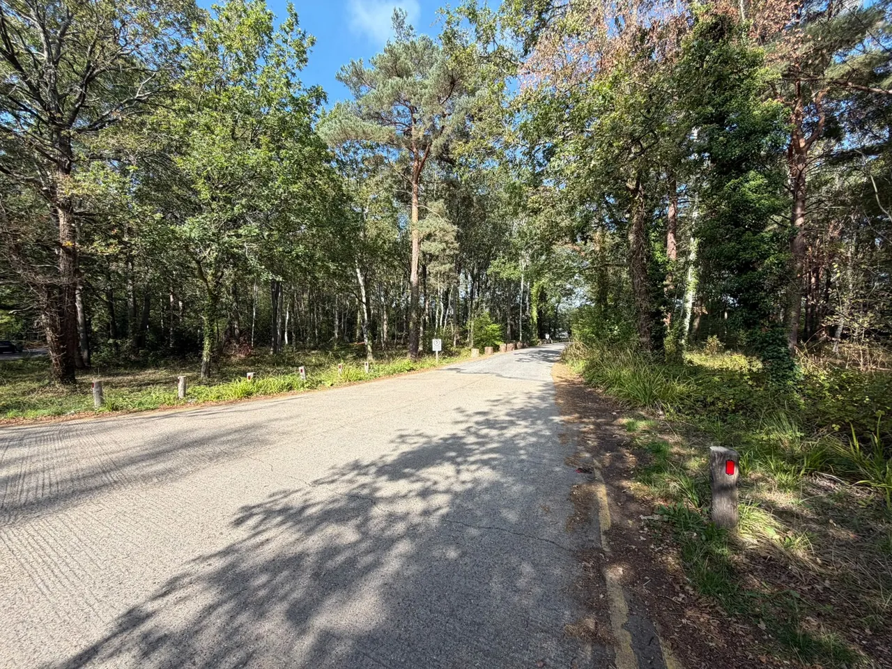 Horsell Common, Woking, GU21, photo 6