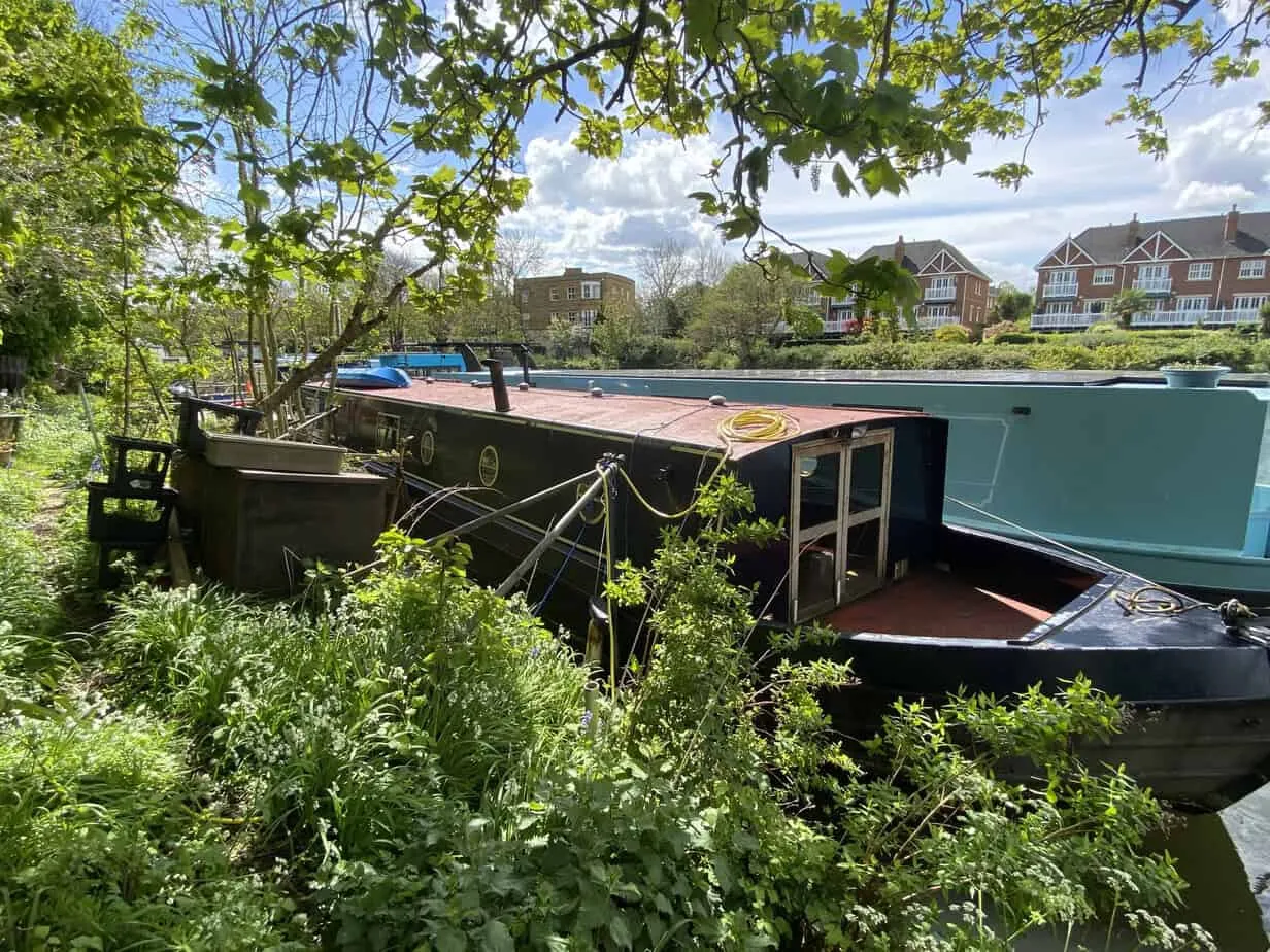 Ash island, Hampton Court, KT8, photo 12