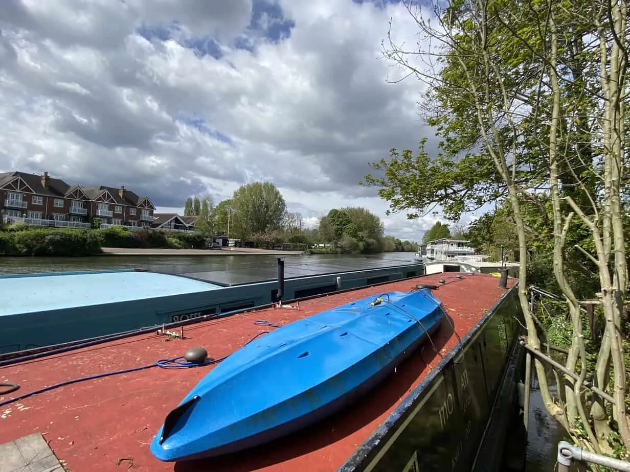 Ash island, Hampton Court, KT8, photo 11