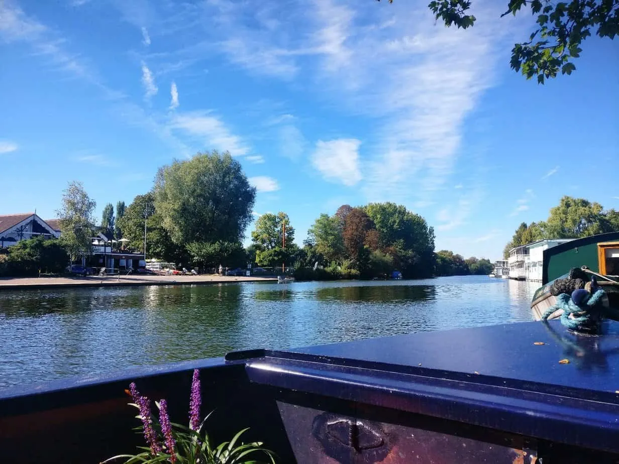 Ash island, Hampton Court, KT8, photo 14