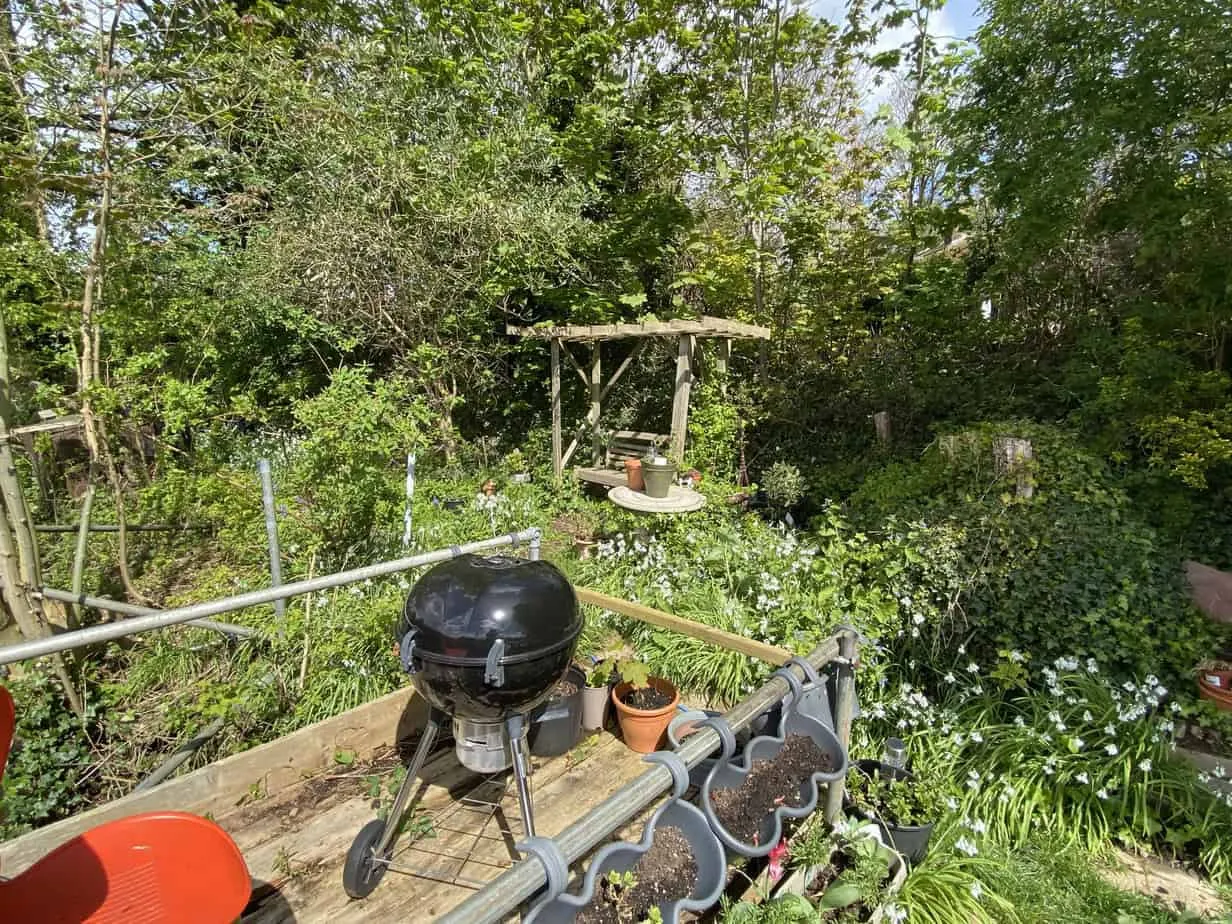 Ash island, Hampton Court, KT8, photo 10