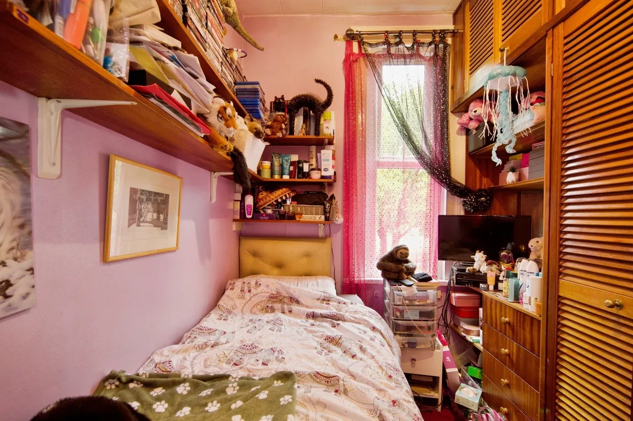 Rancliffe Road, London, E6, photo 11
