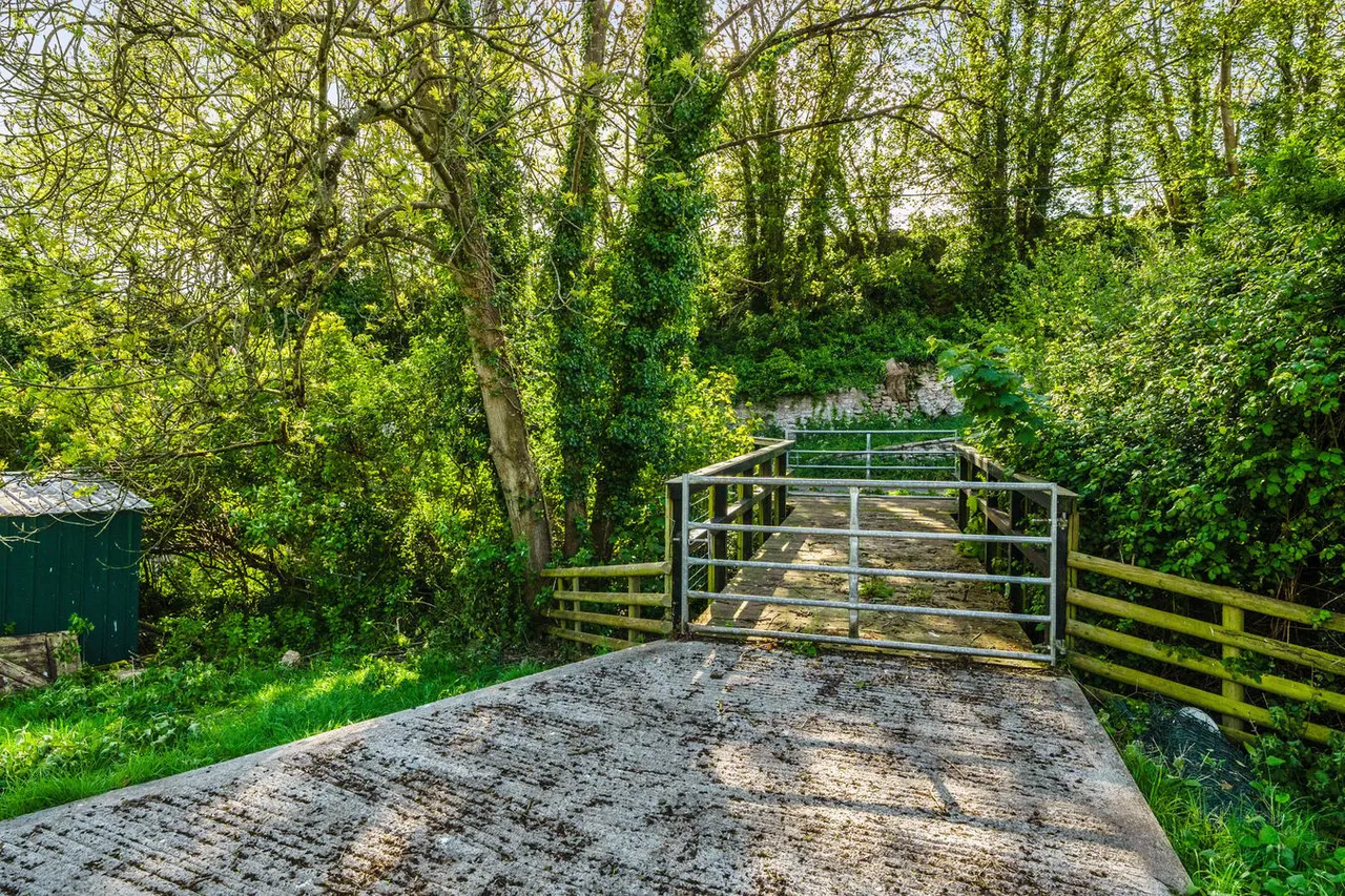 Free Hill, Westbury Sub Mendip, BA5, photo 38