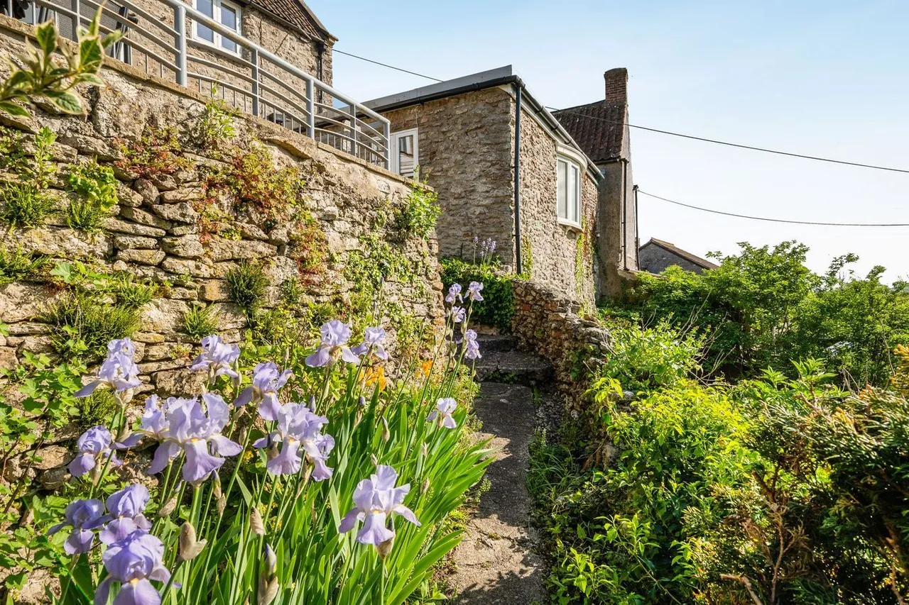 Free Hill, Westbury Sub Mendip, BA5, photo 35
