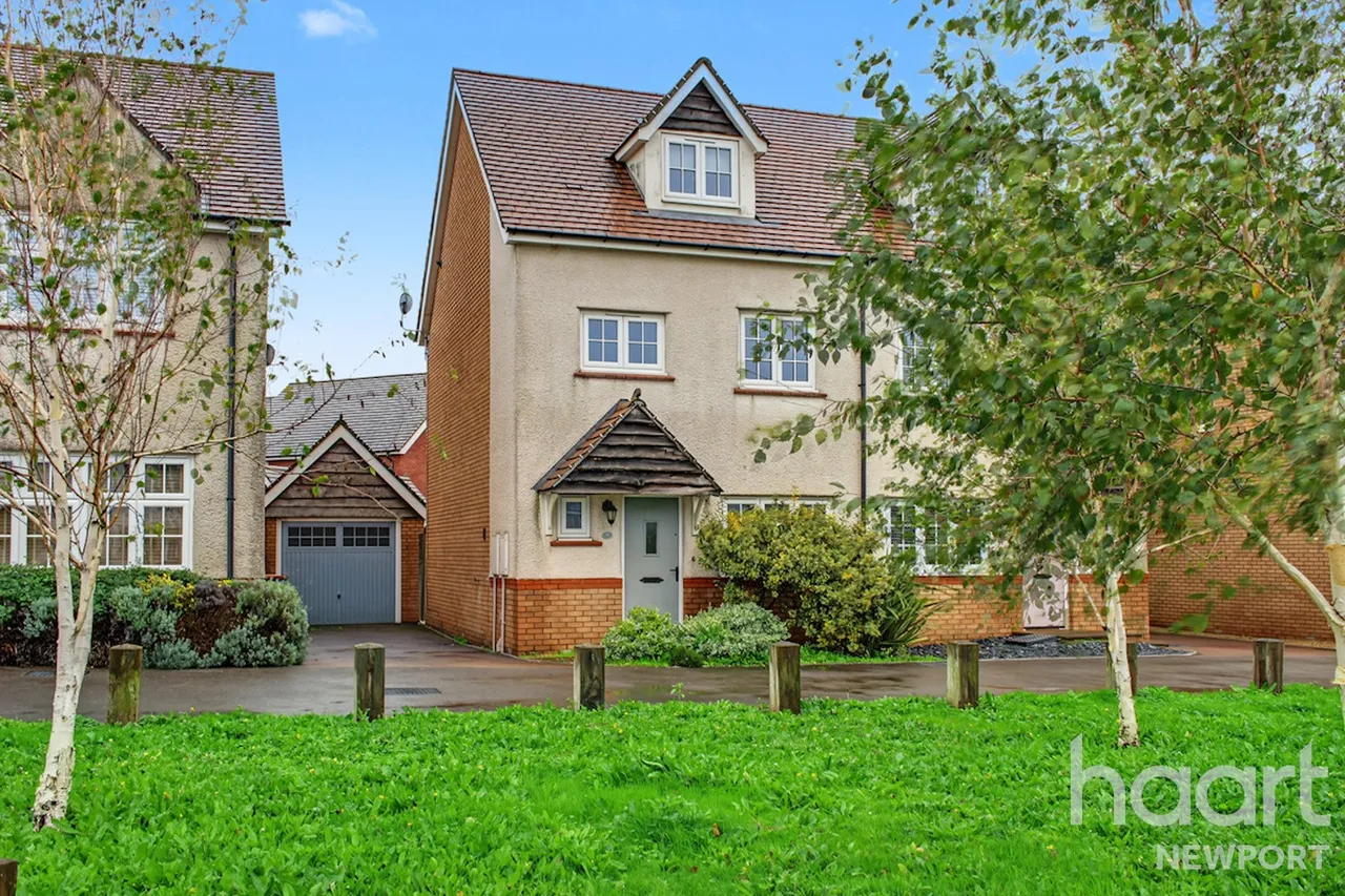Capel Dewi Hall Road, NP20, photo 36
