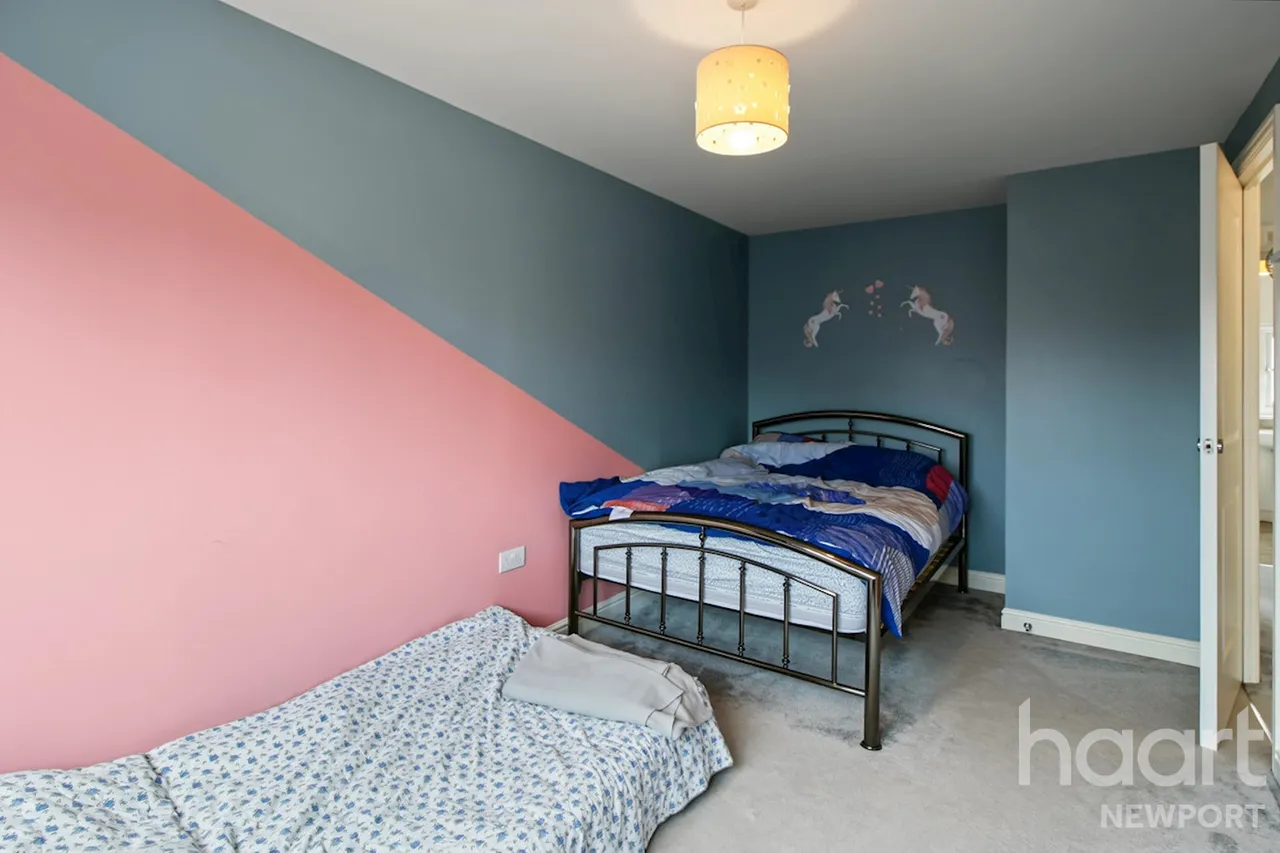 Capel Dewi Hall Road, NP20, photo 21