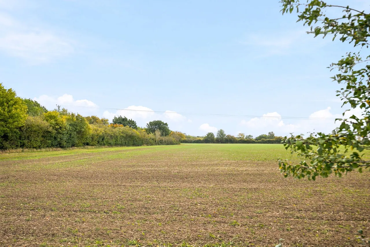 Bunwell Road, Besthorpe, NR17, photo 53