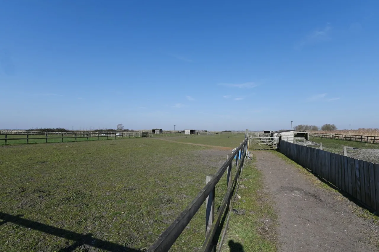 The Drove, Barroway Drove, PE38, photo 40
