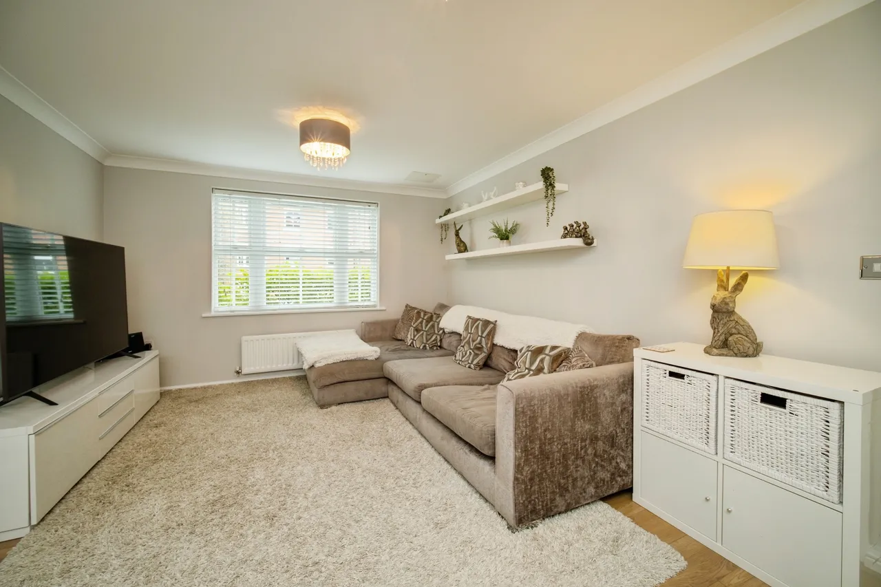 Sycamore Rise, Bracknell, RG12, photo 8