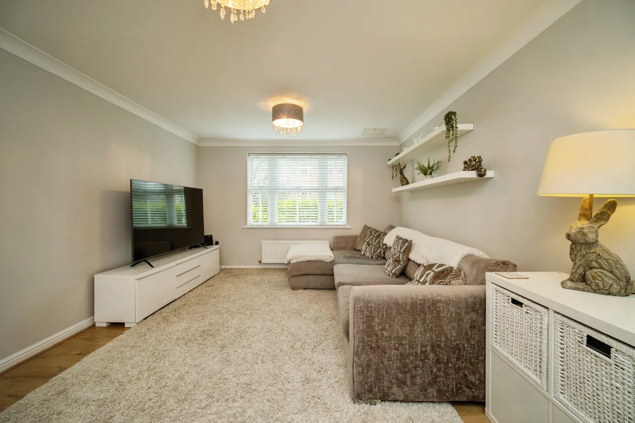 Sycamore Rise, Bracknell, RG12, photo 14