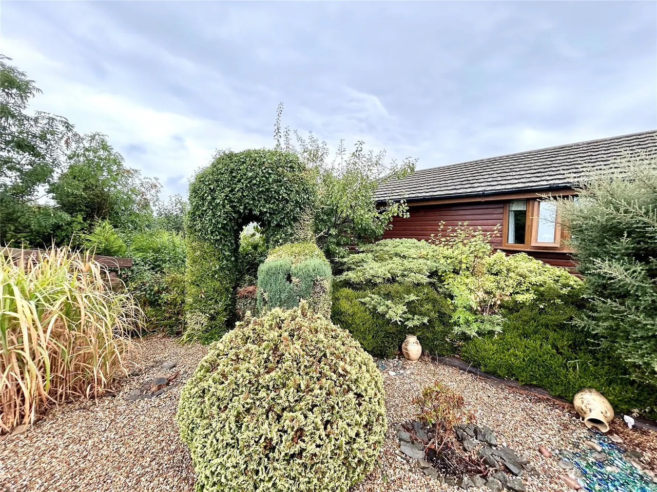 Maple Leaf Drive, Wood End, CV9, photo 15