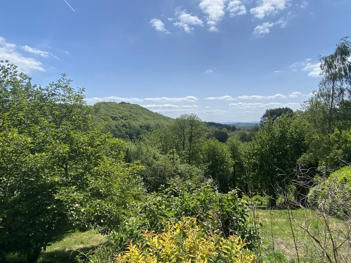 London Road, Rake, GU33, photo 8