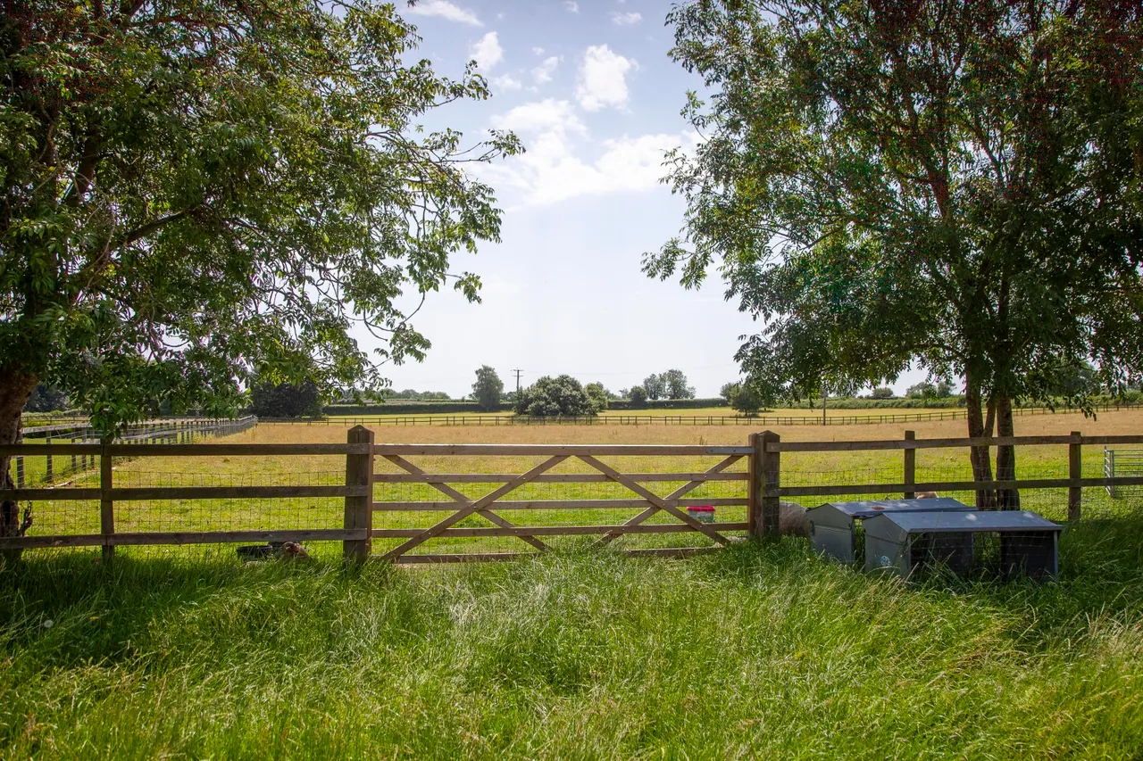 Bleak Street, Pen Selwood, Wincanton, Somerset, BA9 8LZ, photo 6