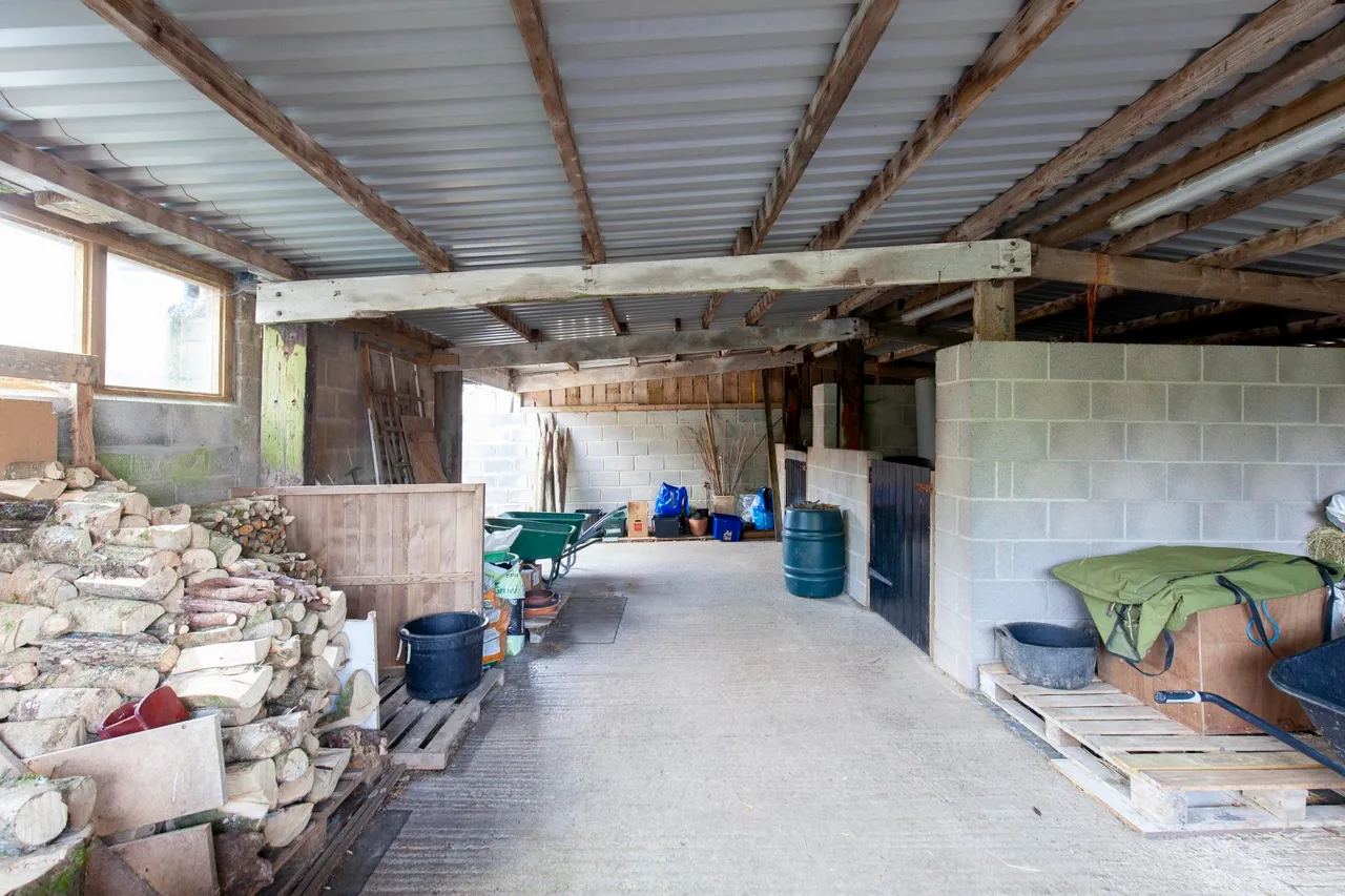 Bleak Street, Pen Selwood, Wincanton, Somerset, BA9 8LZ, photo 17