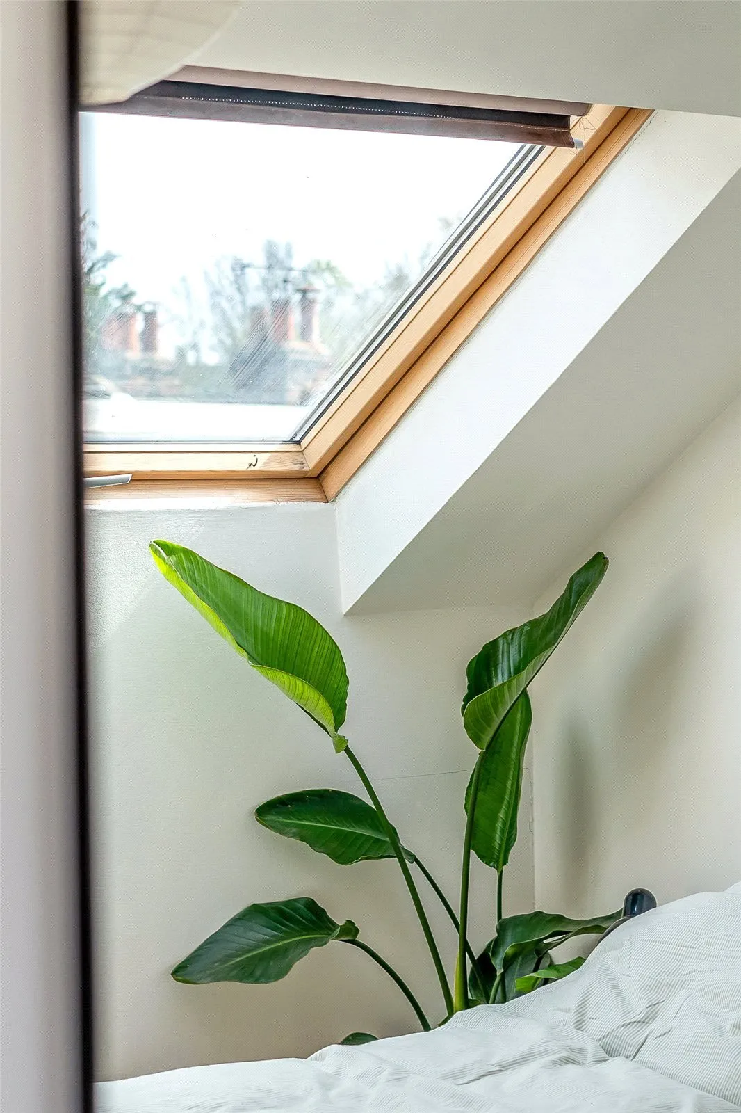 Florence Road, SE14, photo 20