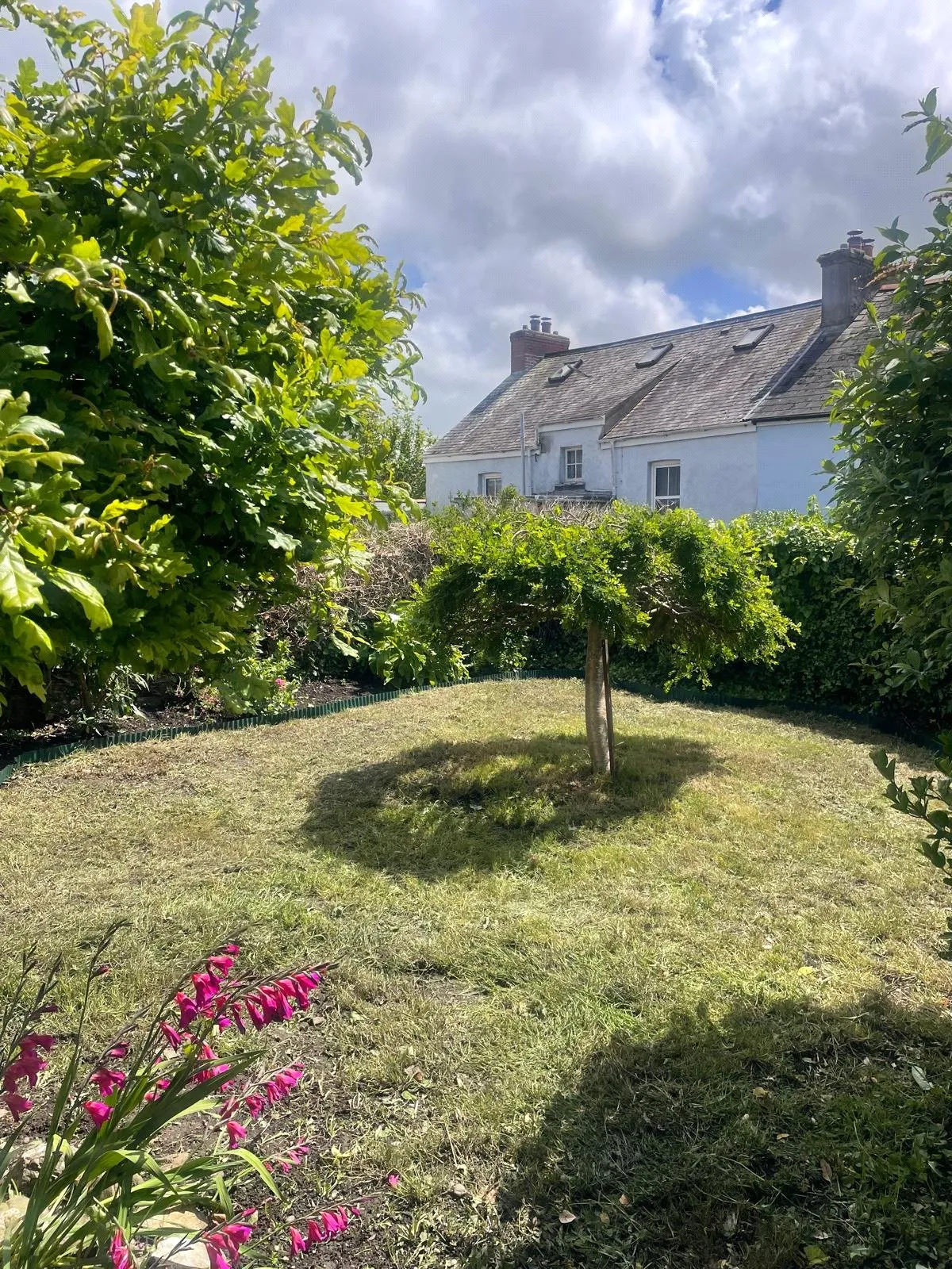 West Challacombe Lane, Combe Martin, EX34, photo 5
