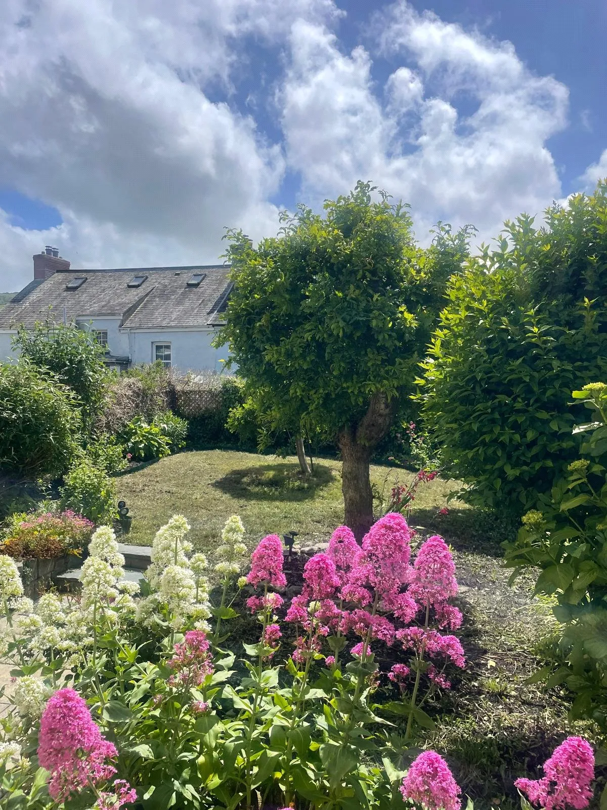 West Challacombe Lane, Combe Martin, EX34, photo 4