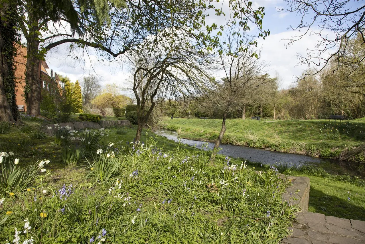 Nightingale Walk, Farnham, GU9, photo 9