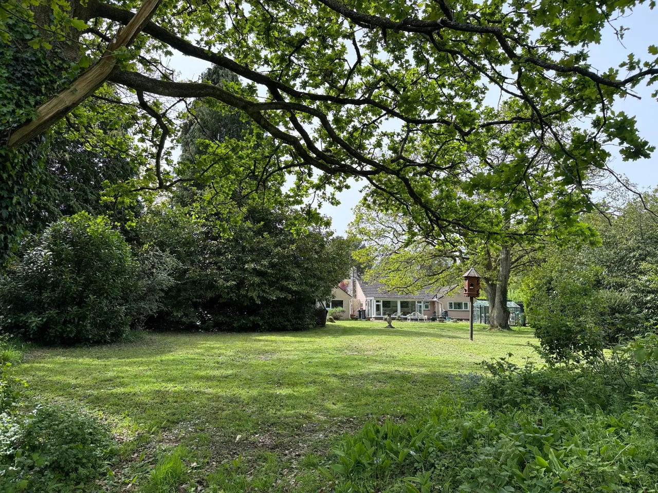 Hurn Lane, Ringwood, BH24, photo 23