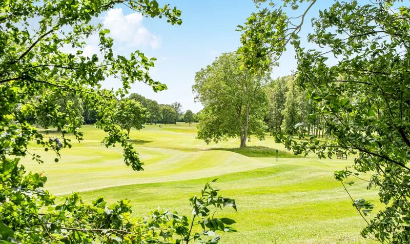 Golf Side, Cheam, SM2, photo 9